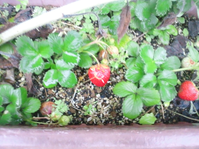 アップロードファイル 142,632 byte